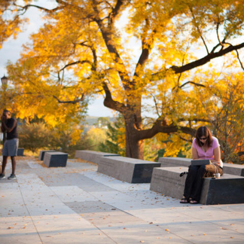 Students relax in the Sesquicentennial Grove atop Libe Slope in fall.