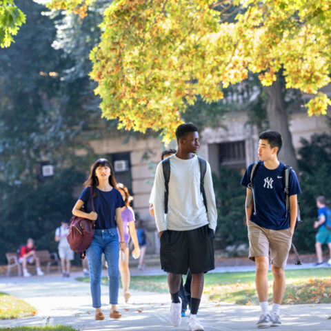 Students on the Ag Quad in fall.